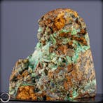 Natuurlijke chrysoprase freiform uit Indonesië op houten