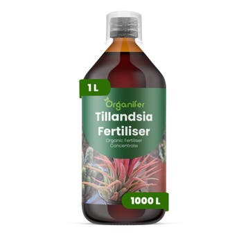 Tillandsia Vloeibare meststof - 1 liter, Verzenden, Mest