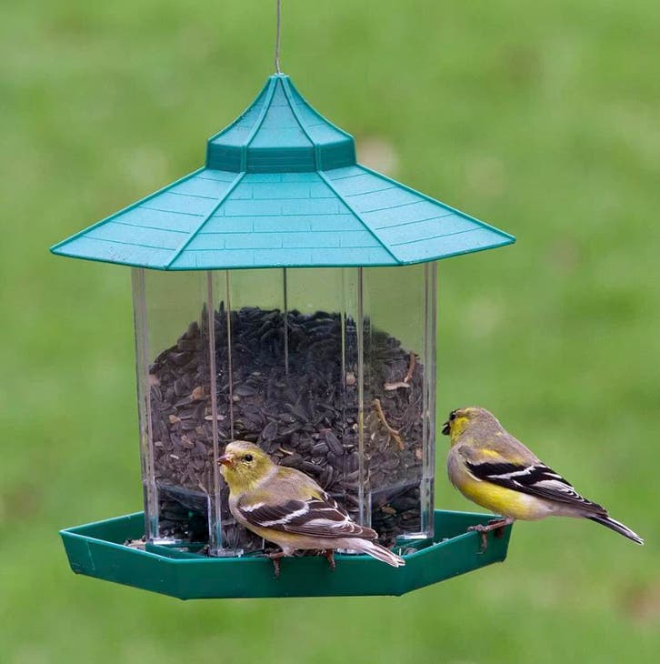 Hangende Vogelvoeder – Waterdicht Vogelhuis met Hangtouw, Dieren en Toebehoren, Vogels | Toebehoren, Eten en Drinken, Nieuw, Verzenden
