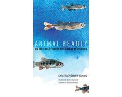Animal Beauty – On the Evolution of Biological Aesthetics, Ophalen of Verzenden, Nieuw
