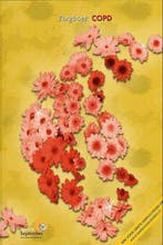 Zorgboek COPD 9789072248831, Verzenden, Zo goed als nieuw