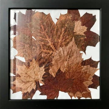 VK Art - Twelve Leaves