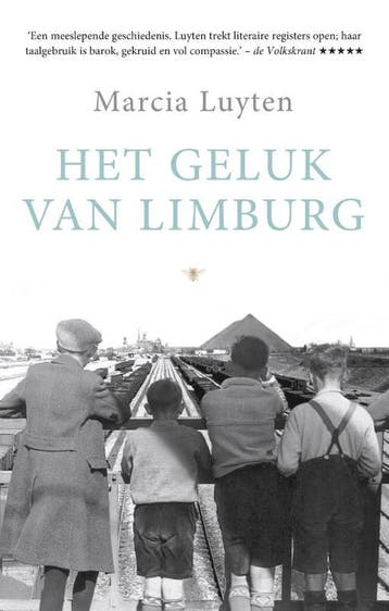 Het geluk van Limburg - Marcia Luyten 9789023496250, Boeken, Verzenden, Gelezen, Marcia Luyten