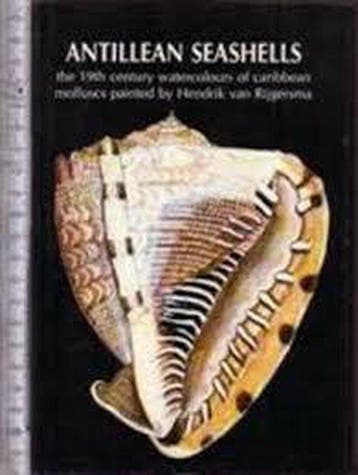 Antillean seashells - Coomans 9789060116166, Verzenden, Gelezen, Coomans