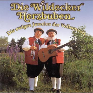 Die Wildecker Herzbuben - Die Ewigen Juwelen Der Volksmusik, Cd's en Dvd's, Ophalen of Verzenden, Gebruikt