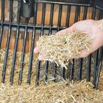 Gehakseld Tarwestro € 6,35 exl Btw per baal thuis geleverd