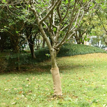vidaXL Jute rol 200 g/m² 0,5x10 m 100% jute, Verzenden, Nieuw
