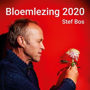 Stef Bos - Bloemlezing 2020 - CD, Cd's en Dvd's, Ophalen of Verzenden, Nieuw in verpakking