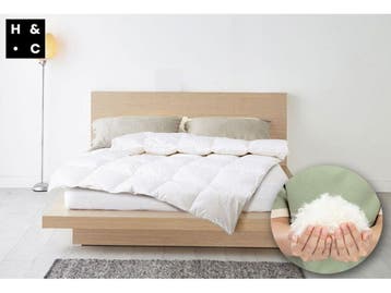 H&C Luxe Eendendonzen Dekbed - 15% Dons - Geschikt voor Het, Verzenden, Nieuw