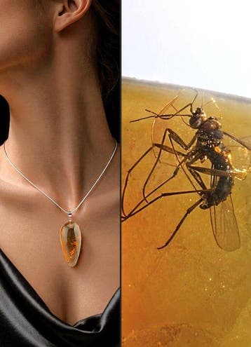 Gouden Baltisch Barnsteenketting – Spectaculair