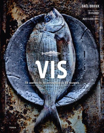 Vis - Gaël Orieux 9789089898289, Verzenden, Gelezen, Gaël Orieux