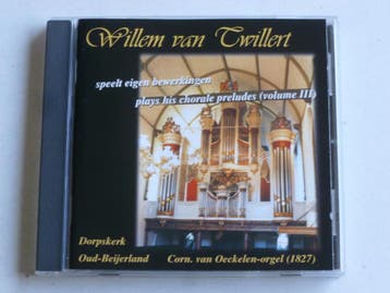 Willem van Twillert - Dorpskerk Oud Beijerland, Ophalen of Verzenden, Zo goed als nieuw
