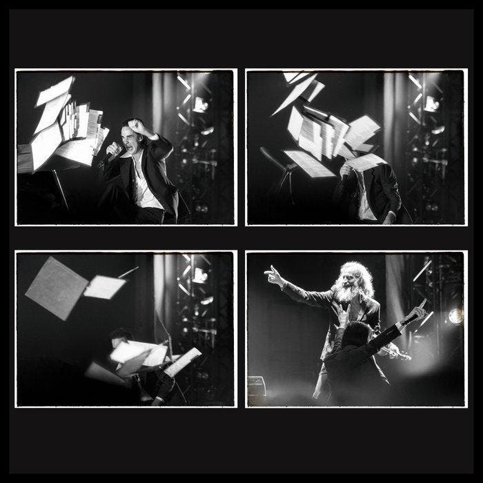 Roberto Cavalli (1971) - Nick Cave & Warren Ellis, Let love, Antiek en Kunst, Kunst | Designobjecten