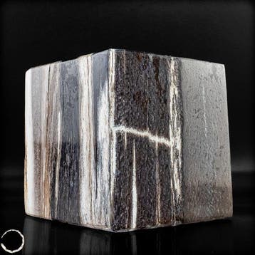 Versteend hout kubus – natuurkunst uit miljoenen jaren