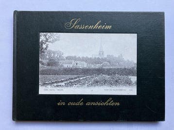 Sassenheim in oude ansichten - Verschoor 9789028833043, Verzenden, Gelezen, Verschoor