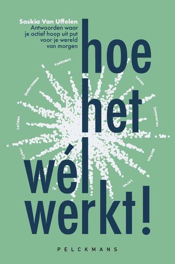 9789465301013 Hoe het wel werkt! Saskia van Uffelen, Verzenden, Nieuw, Saskia van Uffelen