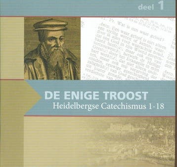 Enige troost dl 1 HC zondag   1 18 9789055517381, Boeken, Zo goed als nieuw