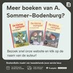 De kleine vampier leest voor / De kleine vampier / 8, Boeken, Verzenden, Zo goed als nieuw, A. Sommer-Bodenburg