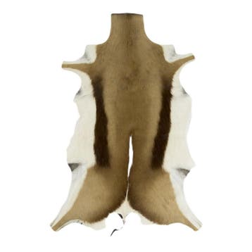 vacht springbok 90cm (alleen EU)*, Verzenden, Nieuw