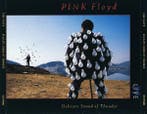 Pink Floyd - Delicate Sound Of Thunder, Cd's en Dvd's, Cd's | Rock, Ophalen of Verzenden, Gebruikt