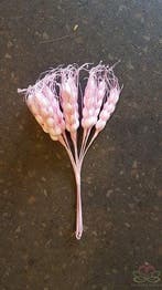 Gerst Foam Zachtroze bundel ca. 10, Ophalen of Verzenden, Nieuw