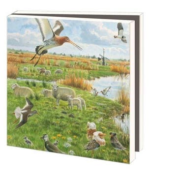Kaartenmapje met env, vierkant:Landschappen, Elwin van der, Ophalen of Verzenden, Nieuw in verpakking