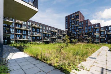Appartement te huur in Delft - 50 m² - 2 kamer(s) - 2 kamers, Appartement, Delft, Zuid-Holland