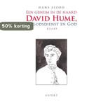 Een geheim in de haard 9789461539359 Hans Sizoo, Verzenden, Zo goed als nieuw, Hans Sizoo