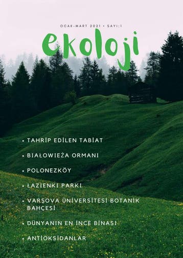 Ekoloji | Ekoloji Online | Nieuw, Ophalen of Verzenden, Nieuw, Ekoloji Online