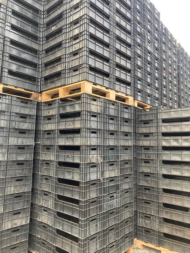 kratten broeibakken bollenkratten stapelbakken 60x40x24 cm, Doe-het-zelf en Verbouw, Kratten en Dozen, Gebruikt