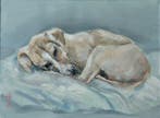 Dorien Plaat - Taking a puppy nap
