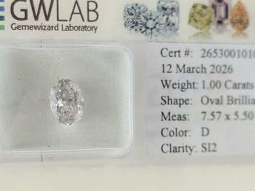 1 pcs Diamant (Natuurlijk) - 1.00 ct - Ovaal - D (kleurloos), Nieuw
