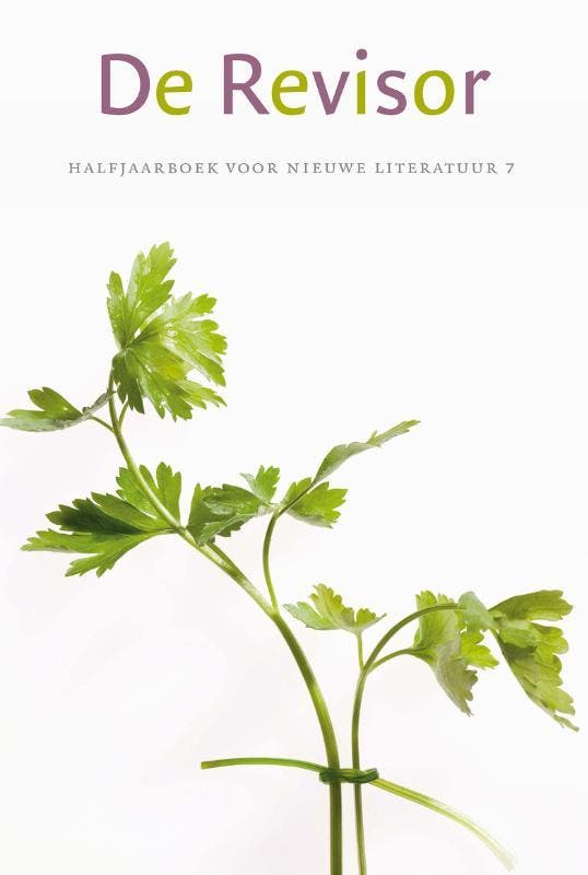 De Revisor 9789021455426 Daan Stoffelsen, Boeken, Romans, Gelezen, Verzenden