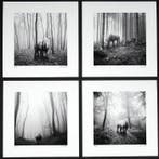 Frank Machalowski - Portfolio of 4 pictures from the series