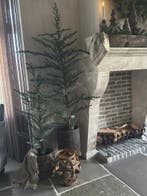 Oude Indiase rattan mand, Ophalen of Verzenden, Nieuw