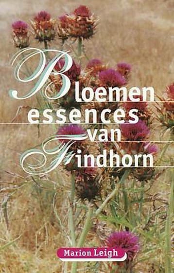 Bloemenessences Van Findhorn - M. Leigh 9789062718870, Boeken, Verzenden, Zo goed als nieuw, M. Leigh