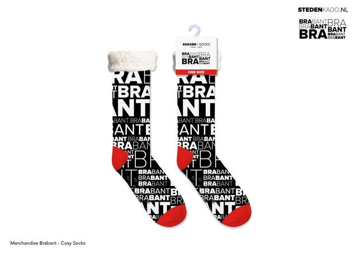 PARTIJ HUISSOKKEN BRABANT, Kleding | Heren, Sokken en Kousen, Nieuw, Verzenden