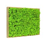 Vintlux Mosschilderij Rendiermos 60x80 cm Blank Hout, Huis en Inrichting, Nieuw