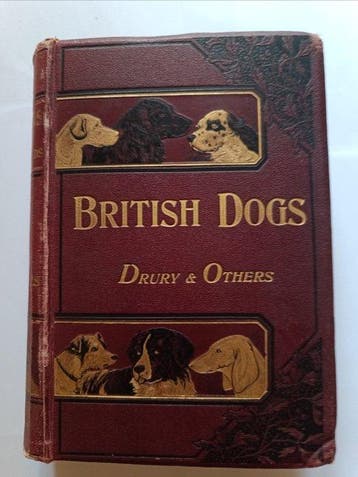 W. D. Drury - British Dogs: Their Points, Selection And Show