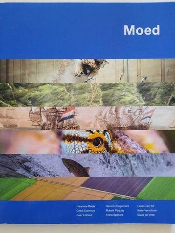 Moed - Hanneke Beijer 9789081256070, Verzenden, Gelezen, Hanneke Beijer