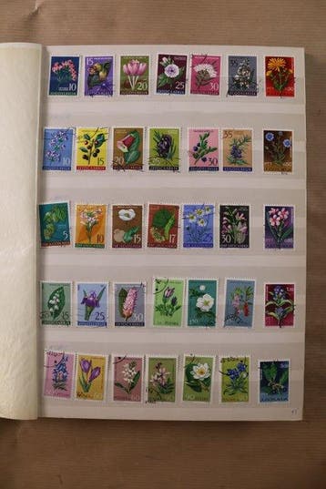 Wereld 1950/1999 - Lot in 7 stockboeken, Gestempeld