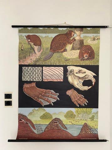 Jung-Koch-Quentell - Hagemann - Bever - Jaren 1970