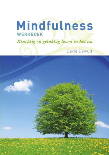 Mindfulness werkboek 9789086792610 David Dewulf, Verzenden, Gelezen, David Dewulf