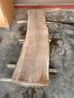 5X Boomstambladen, Iep, complete partij 210,- REF 794, 25 tot 50 mm, Nieuw, Ophalen of Verzenden, 200 tot 250 cm