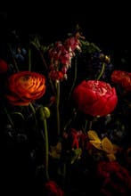 Viet Ha Tran - Secret whisper