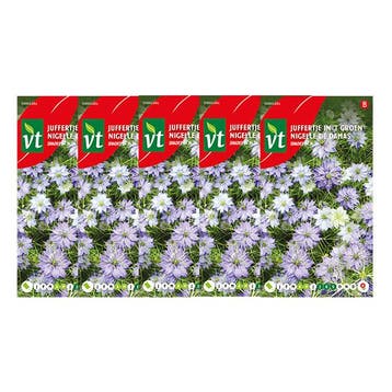 Bloemzaden juffertje in het groen | VT | 5 stuks, Verzenden
