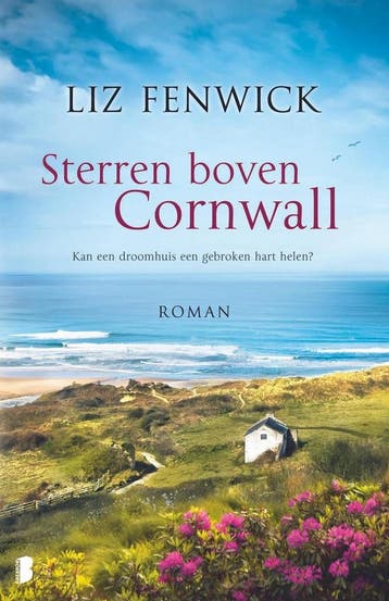 Sterren boven Cornwall - Liz Fenwick 9789022574683, Verzenden, Gelezen, Liz Fenwick