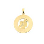 Gouden sterrenbeeld hanger; Waterman (Hanger of bedel), Ophalen of Verzenden, Gebruikt, Goud, Overige merken