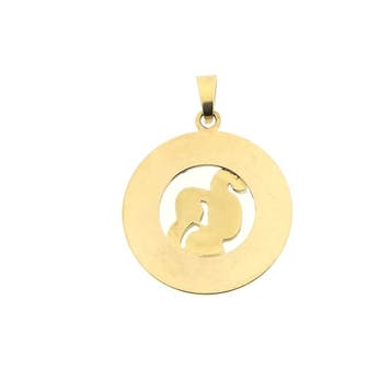 Gouden sterrenbeeld hanger; Waterman (Hanger of bedel), Ophalen of Verzenden, Gebruikt, Goud, Overige merken