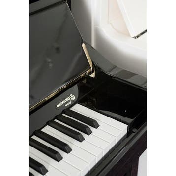 Sebastian Steinwald 121 (SilentOne) PE messing silent piano, Nieuw, Zwart, Piano